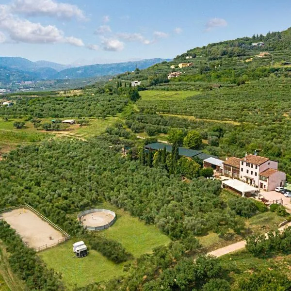 Agriturismo Casa Rosa, hotel i Novaglie