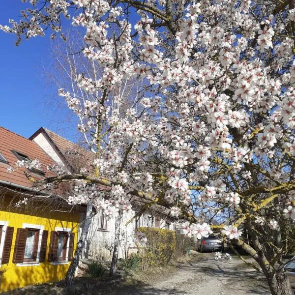 Éva Vendégház, hotel v destinaci Tata