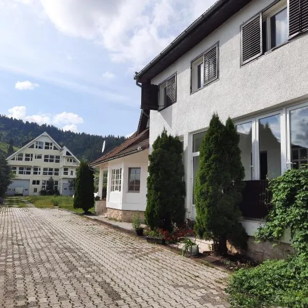 Antal Apartmans Lunca de Sus Kulcsosház Gyimesfelsőlok、Lunca de Susのホテル