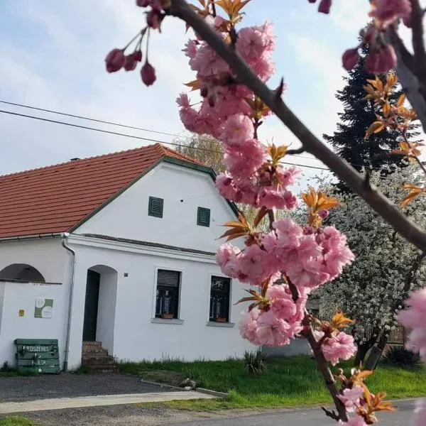 Fűszeres Porta: Zalaszentgrót şehrinde bir otel