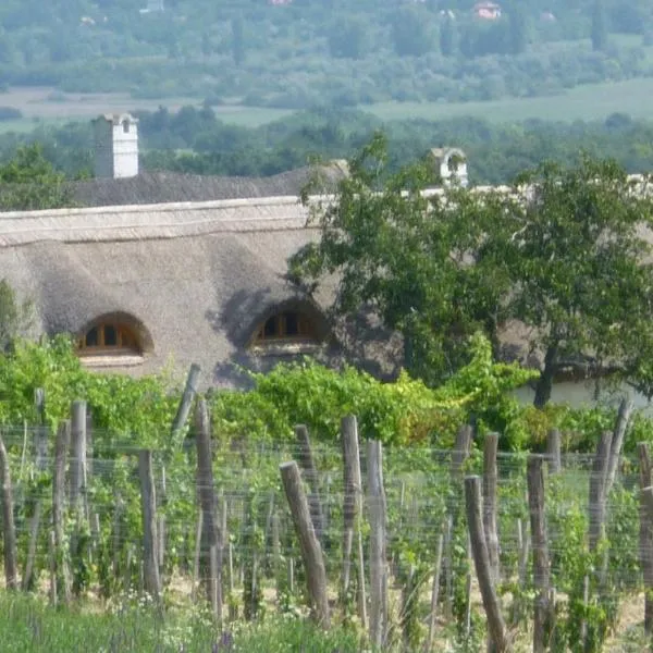 Traditional cottage at Lake Balaton、Vászolyのホテル