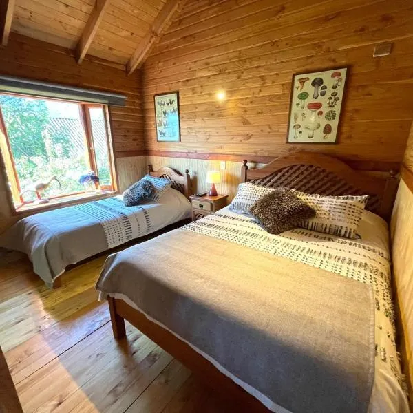 Hostal Pucon Sur, hotel v destinaci Pucón