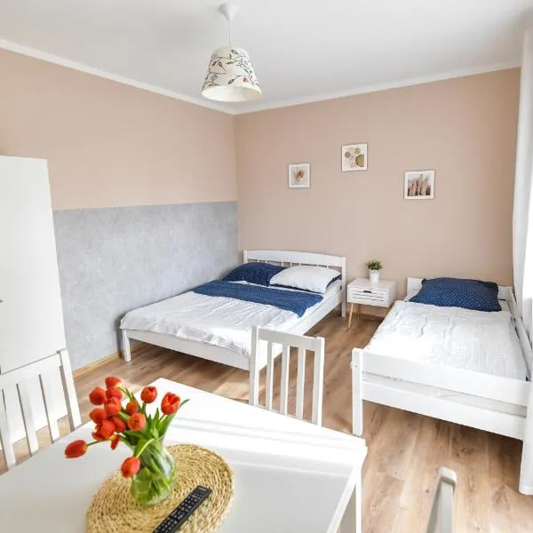 Apartament Zosienka, hotel v destinaci Zator