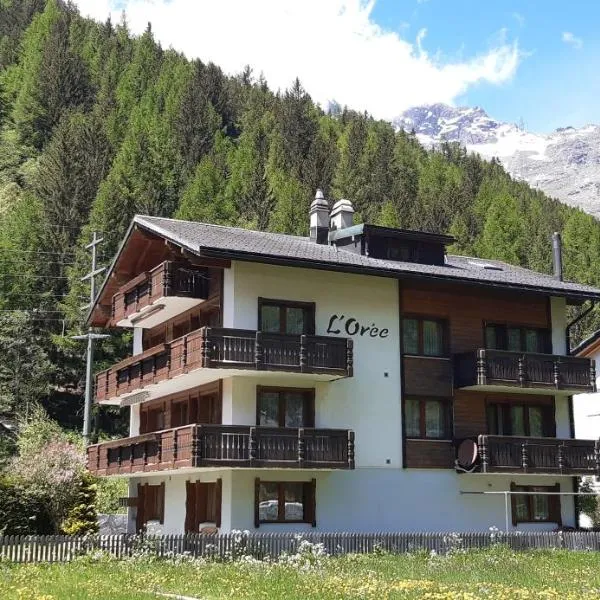 FREE cable car & bus in the summer Haus L'oree, hotel v destinaci Saas-Grund