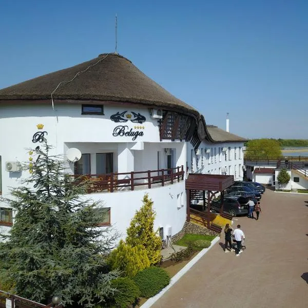 Pensiunea Beluga, hotel in Dunavăţu de Sus