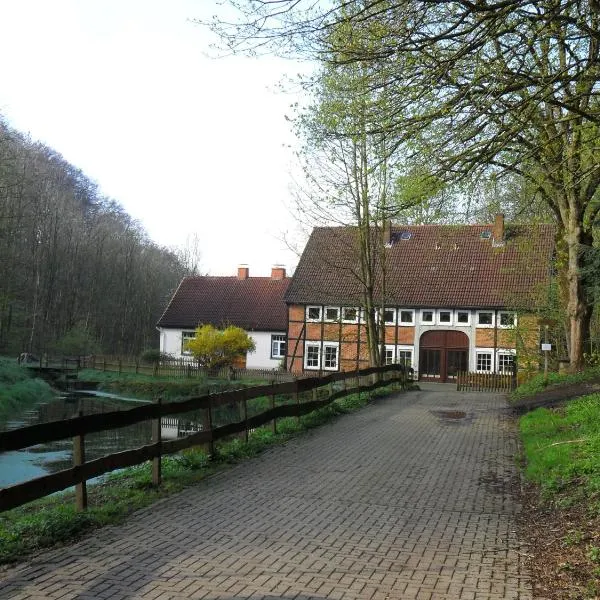 헤지슈올덴도르프에 위치한 호텔 Höllenmühle Bed & Breakfast at the Mill Pond
