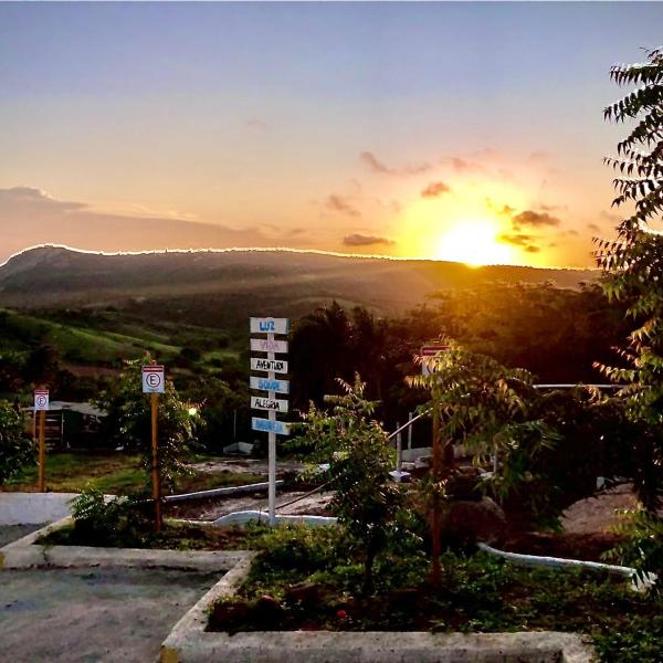 Encanto dos Pássaros - Foto 5
