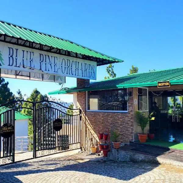 Blue Pine Orchards - Apartments, ξενοδοχείο σε Lansdowne