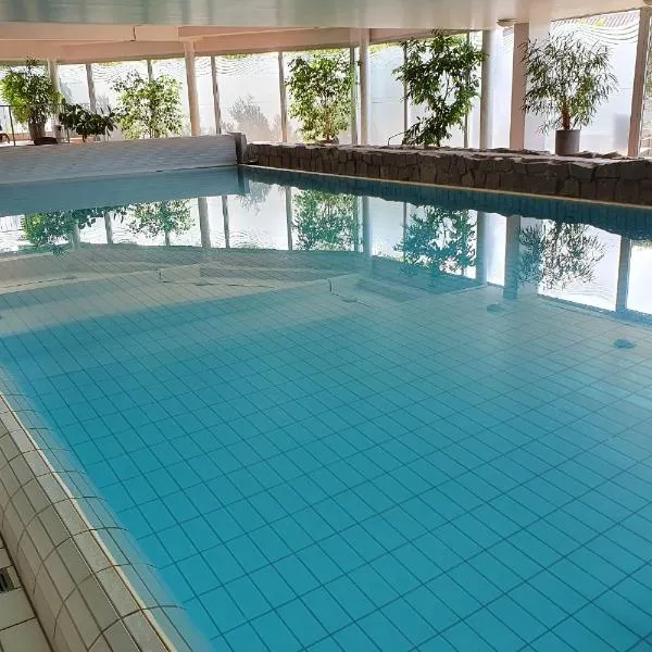 Sport Hotel Kenzingen, hotel in Teningen