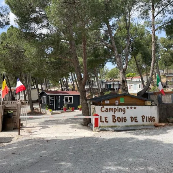 Camping Le Bois De Pins、サルス・ル・シャトーのホテル