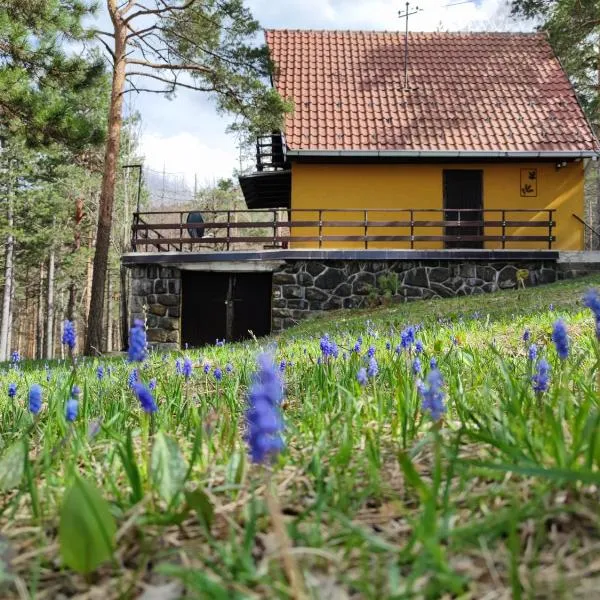 Planinska kuća Čudesni bor, hotel v destinaci Divčibare