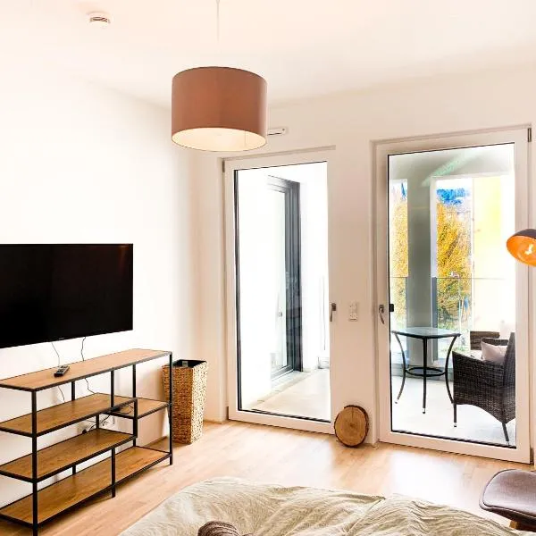 Home away from Home in a lovely vine region Bingen, hotelli kohteessa Bingen am Rhein
