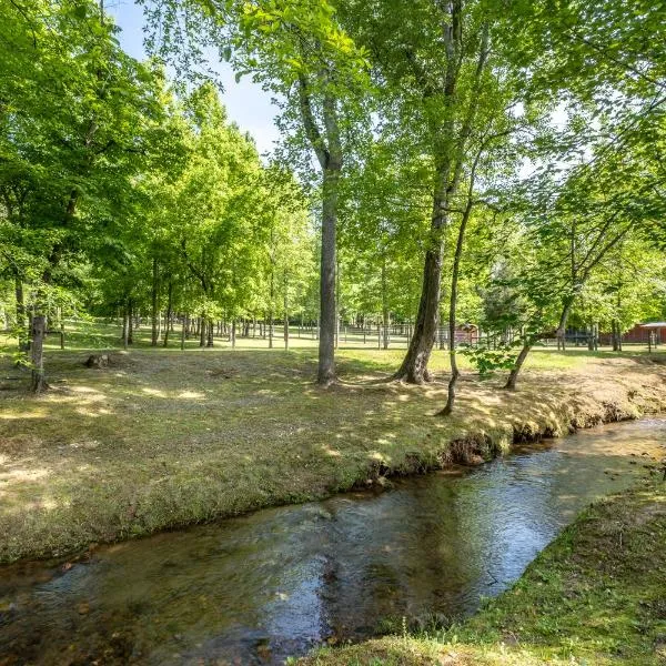 Cobb Creek Cabins, hotel en Thomas Mill