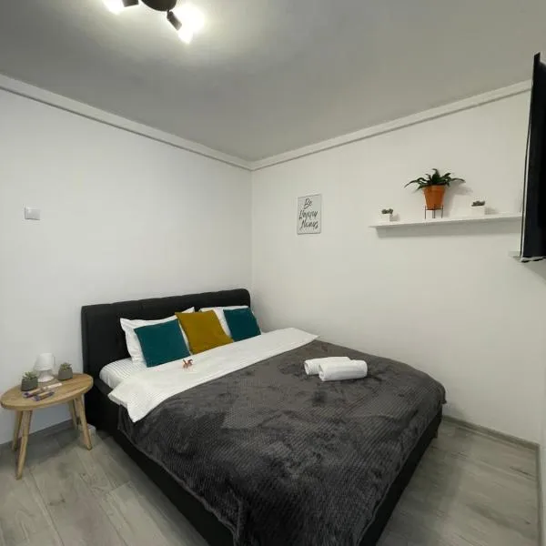 Cozy Studio Apartament Zalau, hotel en Şimleu Silvaniei