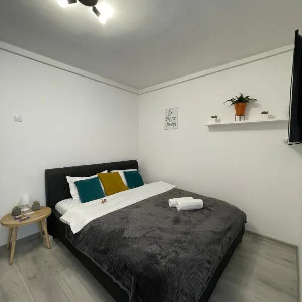 Cozy Studio Apartament Zalau, hotel in Şamşud