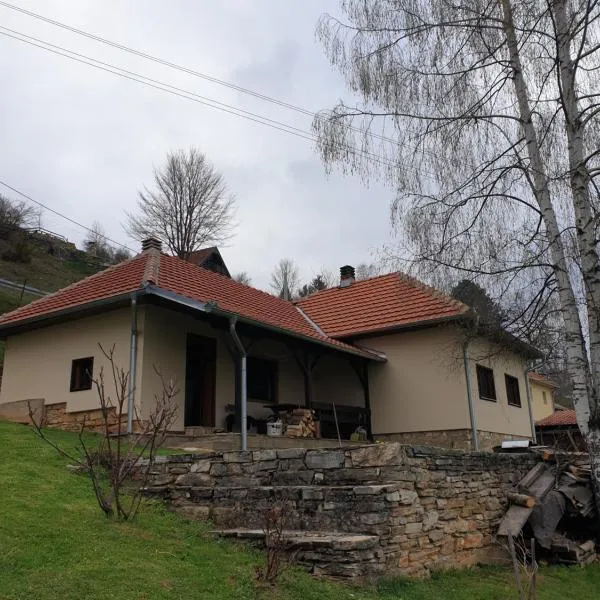 Kuća za odmor - Martić, Rudno, Golija, hotel in Gornji Babići