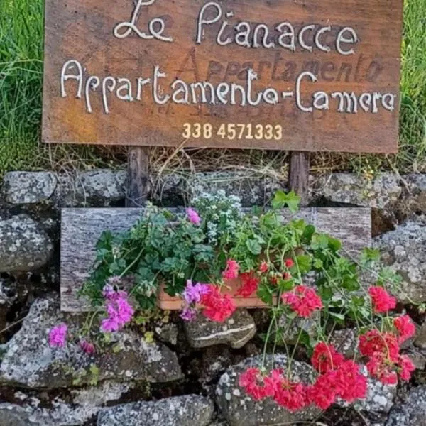 LE PIANACCE - Appartamento per vacanze, Hotel in Castiglione di Garfagnana