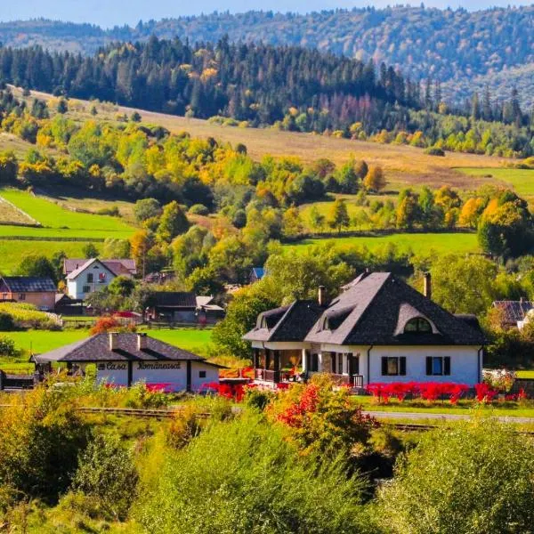 Casa Românească, hotel v destinaci Putna