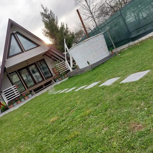 Cabana La Bica, hotel v destinaci Măgureni