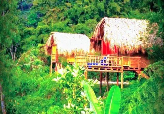 Miradores Del Oso Perezoso, hotel v destinaci Minca