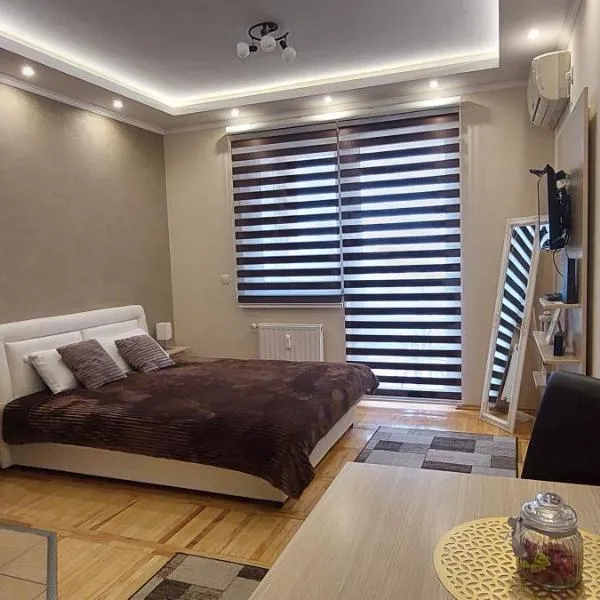 수보티차에 위치한 호텔 Apartman Studio Niki