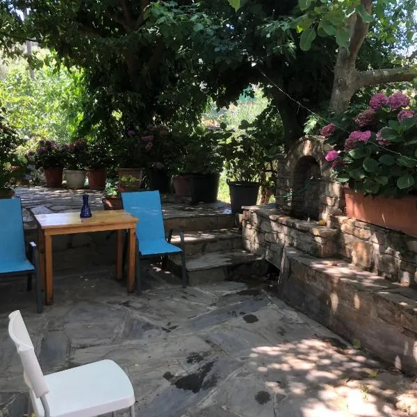 Poraika studios、Rachesのホテル