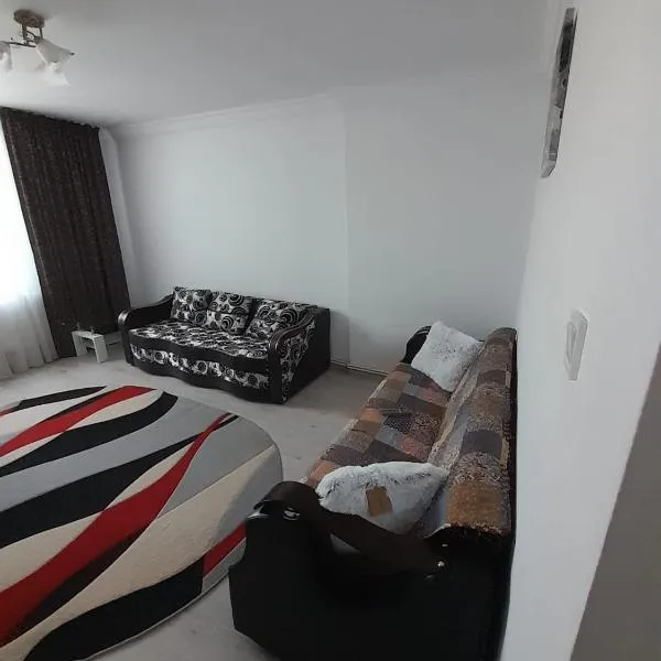 Apartament La Denis, hotel v destinaci Bîrlad