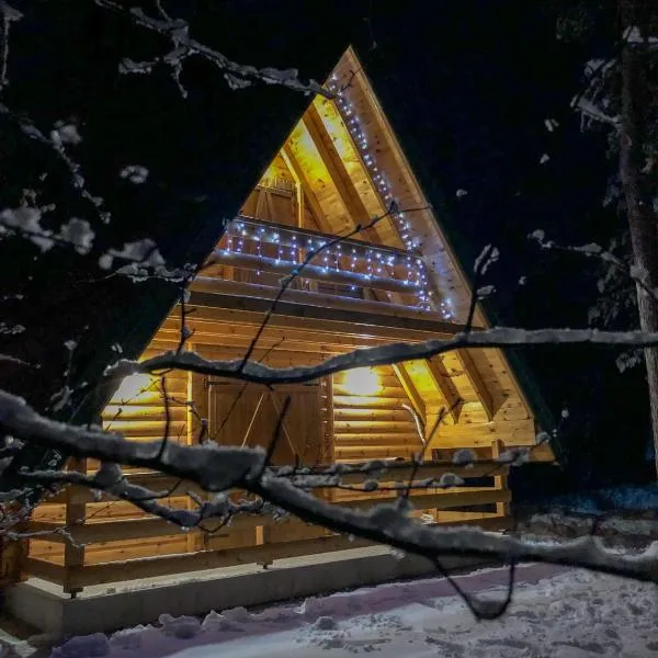 The Pine Forest Cottage, hotel v destinaci Žabljak