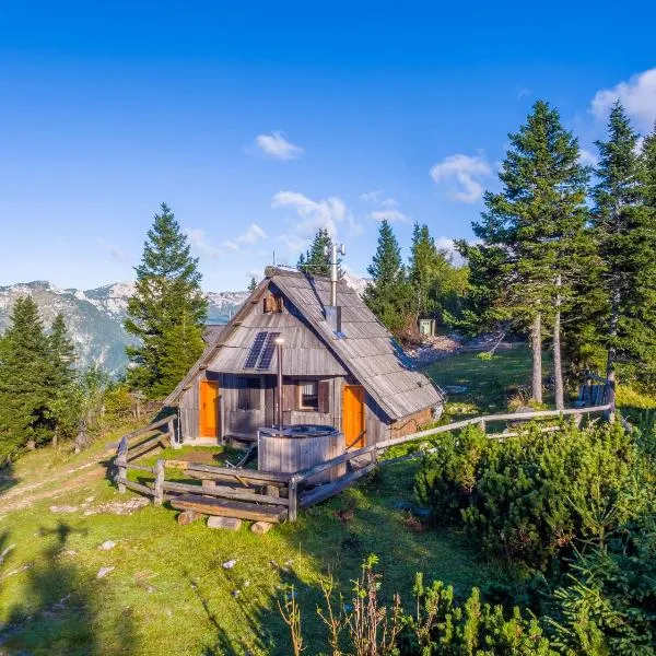 Chalet Encijan - Velika planina, hótel í Stahovica