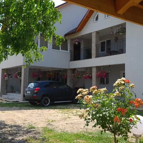 Casa Dana, hotel v mestu Supuru de Jos