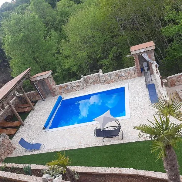 Jelica, hotel em Polje