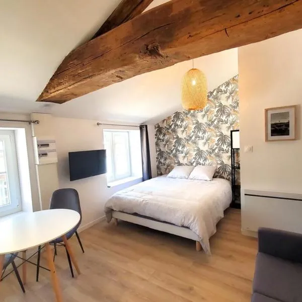 L'IDYLLE - Studio Cocooning avec Jacuzzi, hotel sa Mâcon