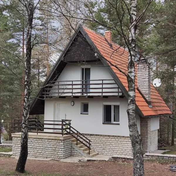 PLANINSKA VILA SMIGIC, Hotel in Divčibare