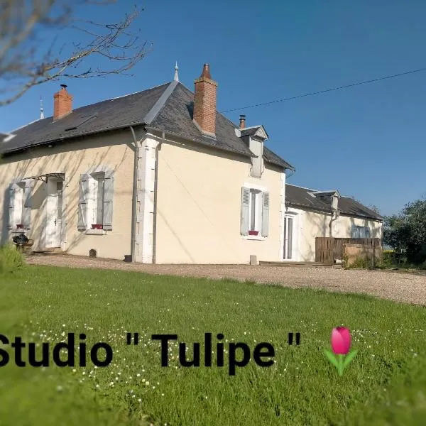 studio ''tulipe'' dans le Berry, hotel en Giroux