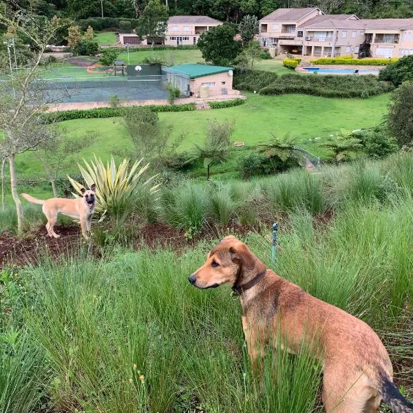 Springside House, hotel a Hillcrest