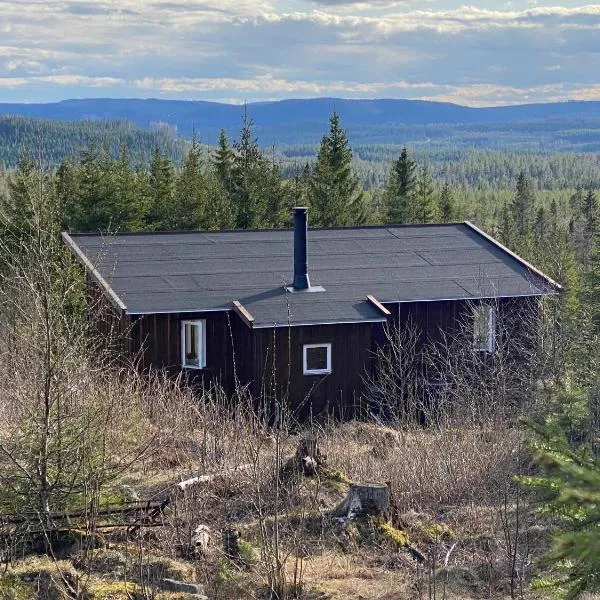 Cozy forest cabin with amazing mountain view, hotel in Ambjörby