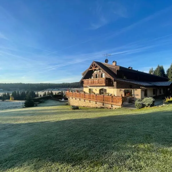Pension Hones, hotel v destinaci Horská Kvilda