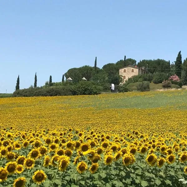 Il vecchio seccatoio, hôtel à Solomeo