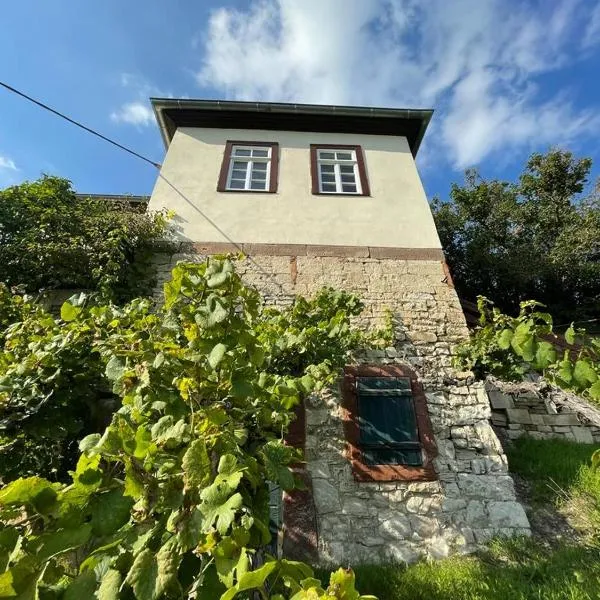 Ferienhaus Traminer im Weinberg, hotel in Freyburg