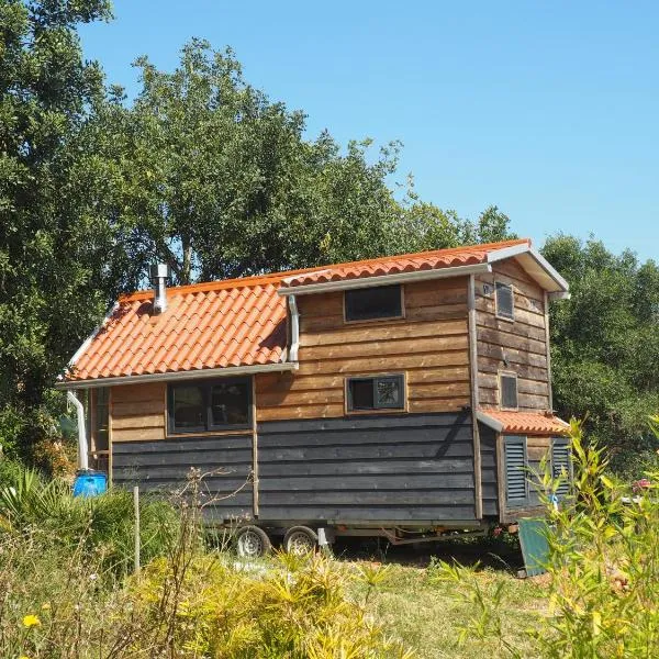 Tiny house eco resort, hotel v destinaci Estevais