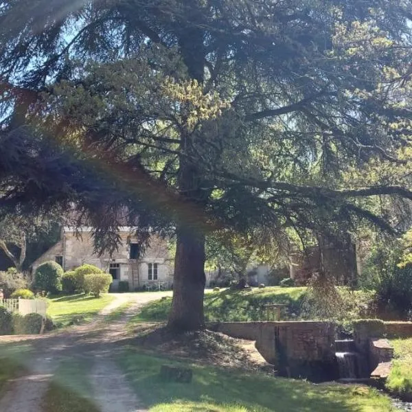 Le moulin du Mesnil, hotel v destinaci Saint-Georges-sur-Cher