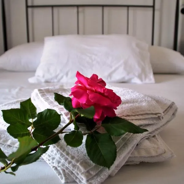 Andros Studios Tetrafylli, hotel v destinaci Ándros