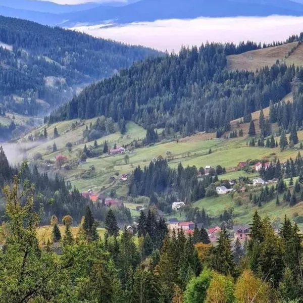 Pensiunea Casa Fierarul din Bucovina, hotel in Vatra Moldoviţei