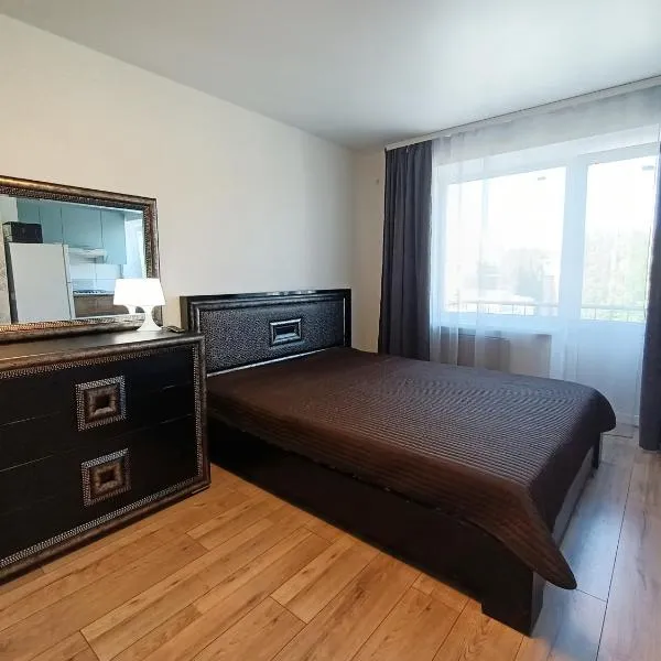 Шевченко 26 1К, hotel in Kropyvnytskyi