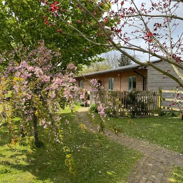 Little Owl Cottage, hotel in Faversham