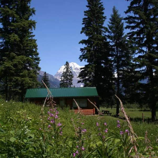 Mount Robson Lodge, hotel en Tete Jaune Cache