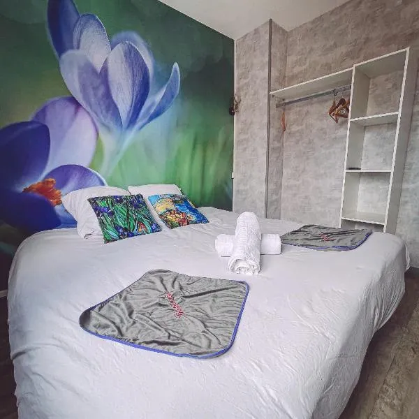 Van Gogh gare By Joyca Chambre privée, hotel v destinaci Épinal