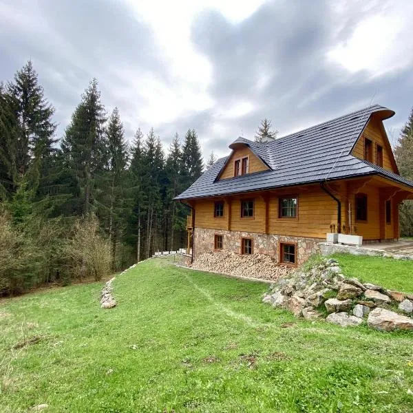 Wellness Drevenica Tale - Chopok South - Pool table、Horná Lehotaのホテル