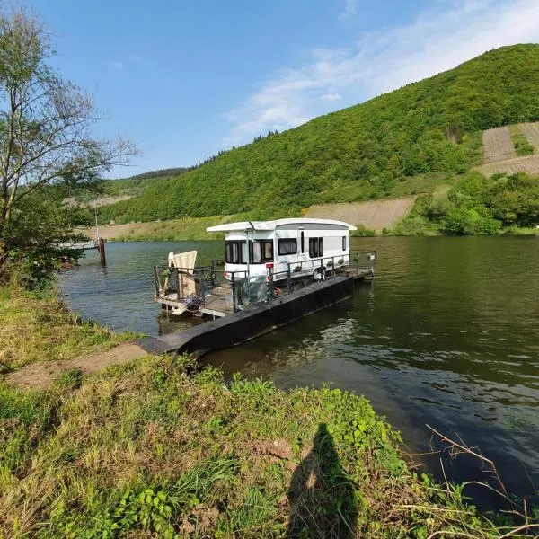 Hausboot Mosel, Hotel in Pölich