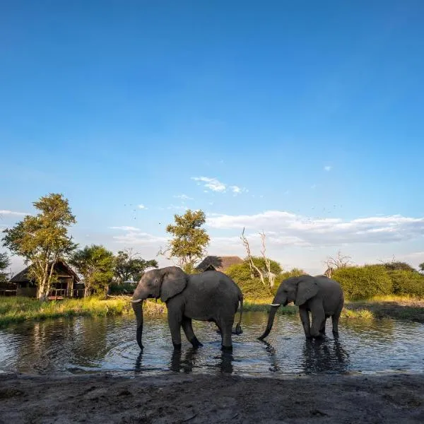 South Okavango - Omogolo Hideaways, hotel in Rammu